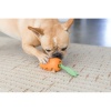 carrot-stuffer-67674_1868812070