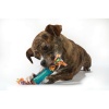 dental-chew-pack-mini-247_920785884